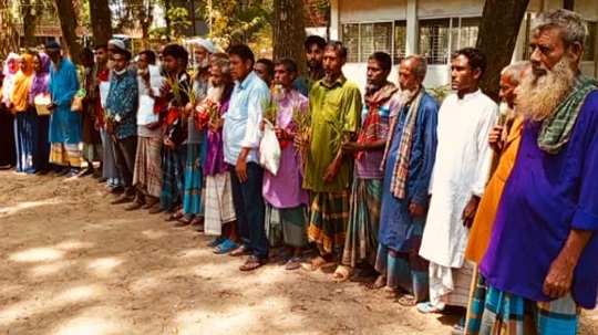 image-here